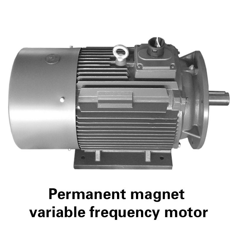 Permanent magnet variable frequency motor